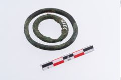 Foto von Bronzering (NHMW-PRAE-002311)